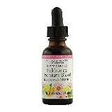 Echinacea Premium Blend-Lemon No Alcohol Glycerite - 1 oz - Liquid