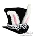 Search : Alice in Wonderland Kid's White Rabbit Hat