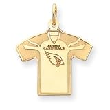 14K Arizona Cardinals Large Jersey W/Name & Logo - NF13