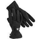 The North Face Pamir Mens Glove (Black)