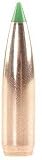 .30 180 Grain Spitzer