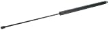 Stabilus Hood Strut
