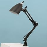 DLT12520000 - Swing Arm Clamp-On Incandescent Lamp