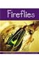 Fireflies (Insects)