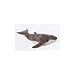Humpback Whale 22"
