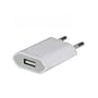 Chargeur Secteur USB 2,0 blanc pour iPhone