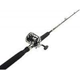 Penn Level Wind Combo (6-Feet/6-Inch, 20-50-Pound)