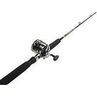 Penn Level Wind Combo (6-Feet/6-Inch, 20-50-Pound)