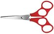 SCISSOR 5 INCH STAINLESS PLASTIC