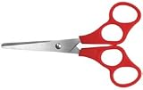 (Price/EA)Scissor 5 Inch Stainless Plastic Handles