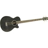 Bass Guitar Acoustic Electric