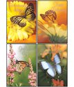 Scripture Greeting Cards-KJV-Boxed-Encouragement - 