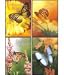 Scripture Greeting Cards-KJV-Boxed-Encouragement - "Butterfly Wishes"