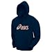 ASICS Logo Hoodie