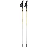 Black Diamond Distance FL Trekking Pole