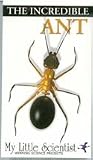 The Incredible Ant