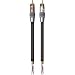 Acoustic Research Audio Cable, Gold RCA P – RCA P (3 feet) PR130