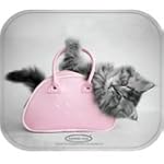 Fellowes Rachael Hale Kitten Mouse Pad 5949002
