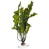 Floral Spike - X-large - 13 in.