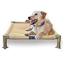 Cool Cot, Large - Raised Mesh Cot