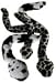 Big S-S-Stretch Eco Friendly Snake Dog Toy: Cow