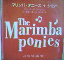 The Marimba Ponies At The Carnegie Hall