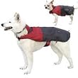 dog Rain Jacket - Large - Assorted