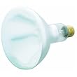 Westinghouse Lighting 03916 Heat and Brooder Bulb