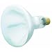 Westinghouse Lighting 03916 Heat and Brooder Bulb