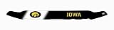 EGR 301430IA Iowa Hawkeyes Collegiate Shield