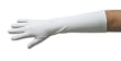 12-Button Diamond White Gloves, CottonLovers Matte Finish Gloves