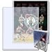 8 x 10 topload photo holder- pack of 25
