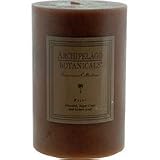 21cbwZoE9HL. SL160  Archipelago Botanicals 4 x 6 Pillar Candle Fiji