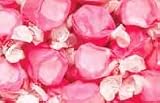 Bubblegum Pink Gourmet Salt Water Taffy 1 Pound Bag