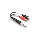 Stereo Y-Cable 1/4" Trs To Dual Rcaf With White Earbud Headphones