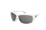 Dragon Recruit Sunglasses