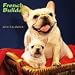 French Bulldogs 2010 Wall Calendar