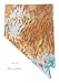 Nevada Topographic Wall Map by Raven Maps, Laminated Print