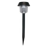 Super Bright Solar LED Plastic Light – Set of 8