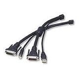 Belkin Omniview USB/DVI KVM Cable For SoHo Series With Audio - 6ft
