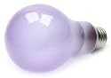 100 Watt Full Spectrum Light Bulb / Frosted / True Daylight--Full Spectrum Light Bulb / A21 Shape (2 5/8" Diameter) / Long Life Incandescent