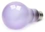 Bulbrite 711021 - 100A21FR/N - Full Spectrum 100 Watt Neodymium A21 Light Bulb, Frosted
