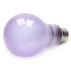 100 Watt Full Spectrum Light Bulb Frosted True Daylight--Full Spectrum Light Bulb A21... by Bulbrite