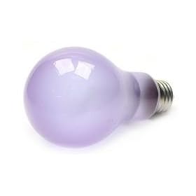 Bulbrite 711021 - 100A21FR/N - Full Spectrum 100 Watt Neodymium A21 Light Bulb, Frosted