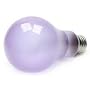 100 Watt Full Spectrum Light Bulb / Frosted / True Daylight--Full Spectrum Light Bulb / A21 Shape (2 5/8" Diameter) / Long Life Incandescent