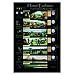 Human Evolution Poster
