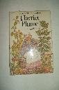 Harriet Plume