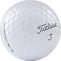 12 AAA+ Titleist Pro V1 2010 Used Golf Balls - 1 Dozen