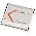 Sony DSC-WX9 Digital Camera Battery Lithium-Ion (3.7v, 1300mAh) - Replacement Battery for ony NP-BN1 Battery