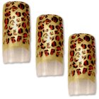 Airbrush - Design - Tips - 20er Pack / BLIBOX-18 Leopard Preisvergleich